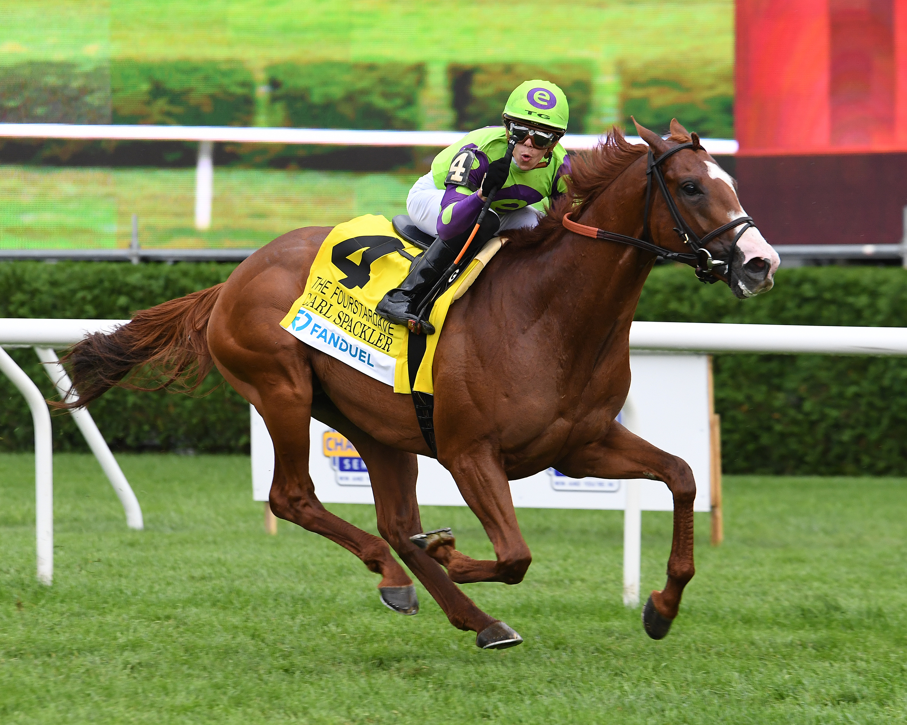 Carl Spackler Conformation Image