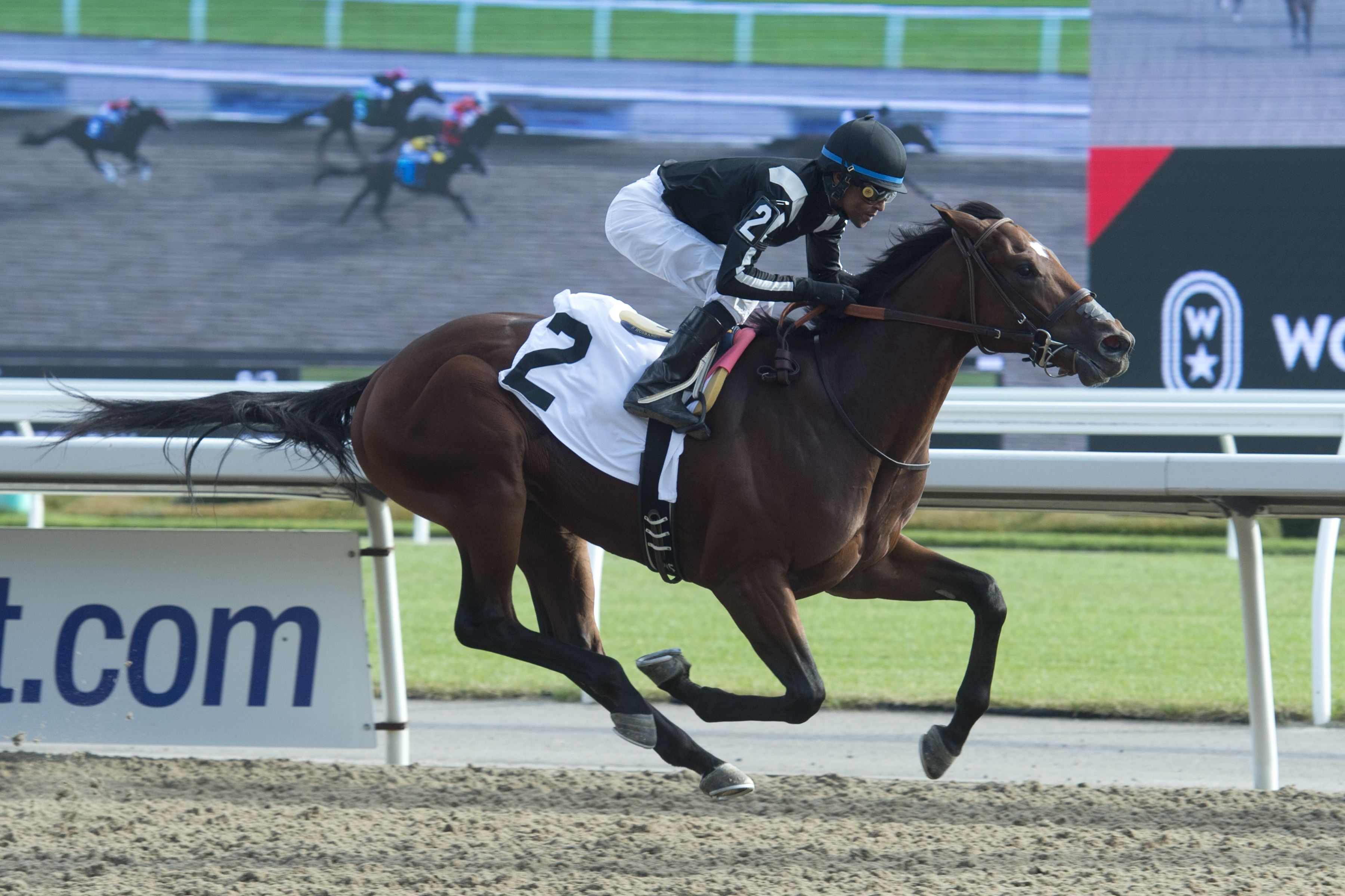 Tonalist Lanes End