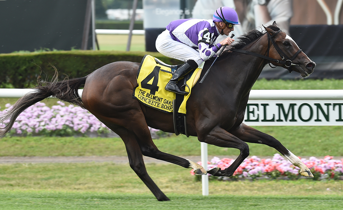 Racing Image of Concrete Rose