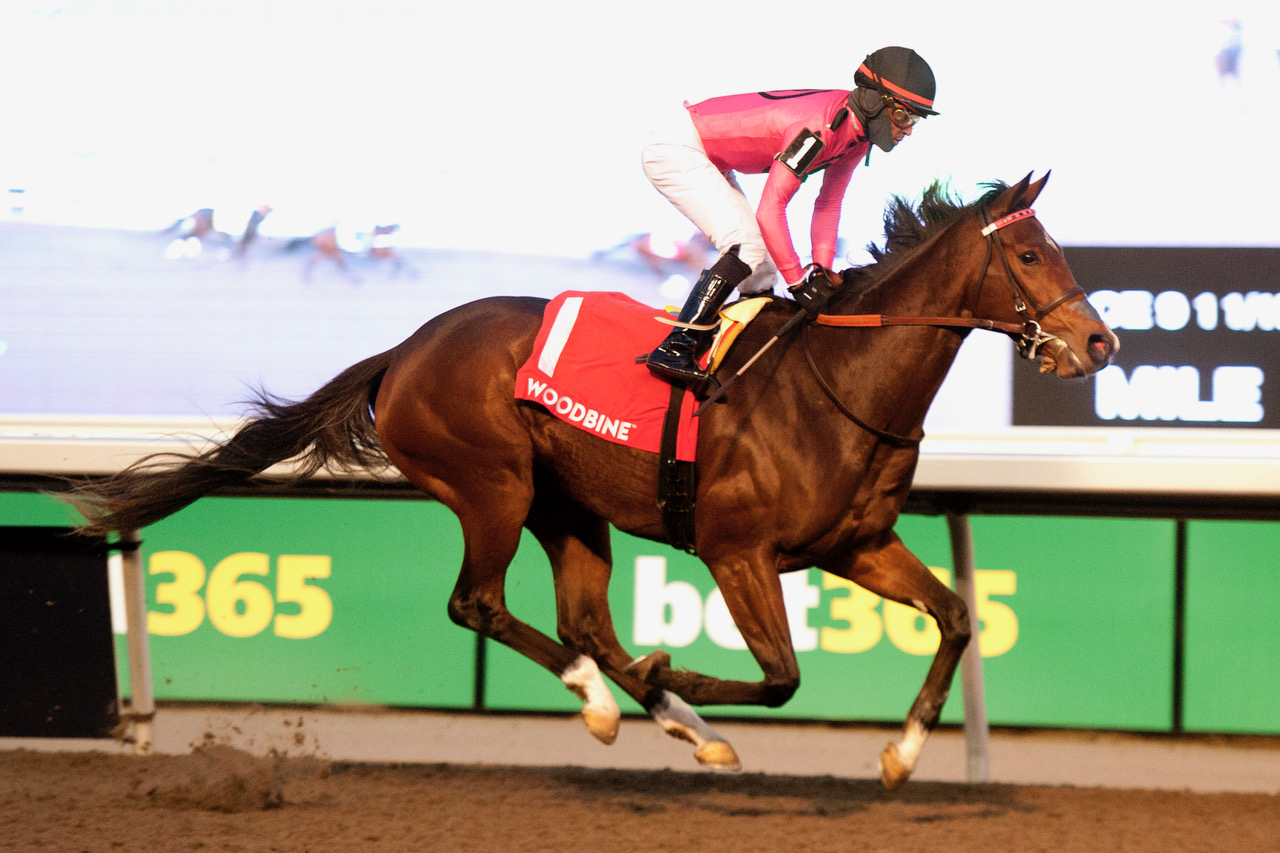 Witwatersrand wins the G3 Mazarine S.