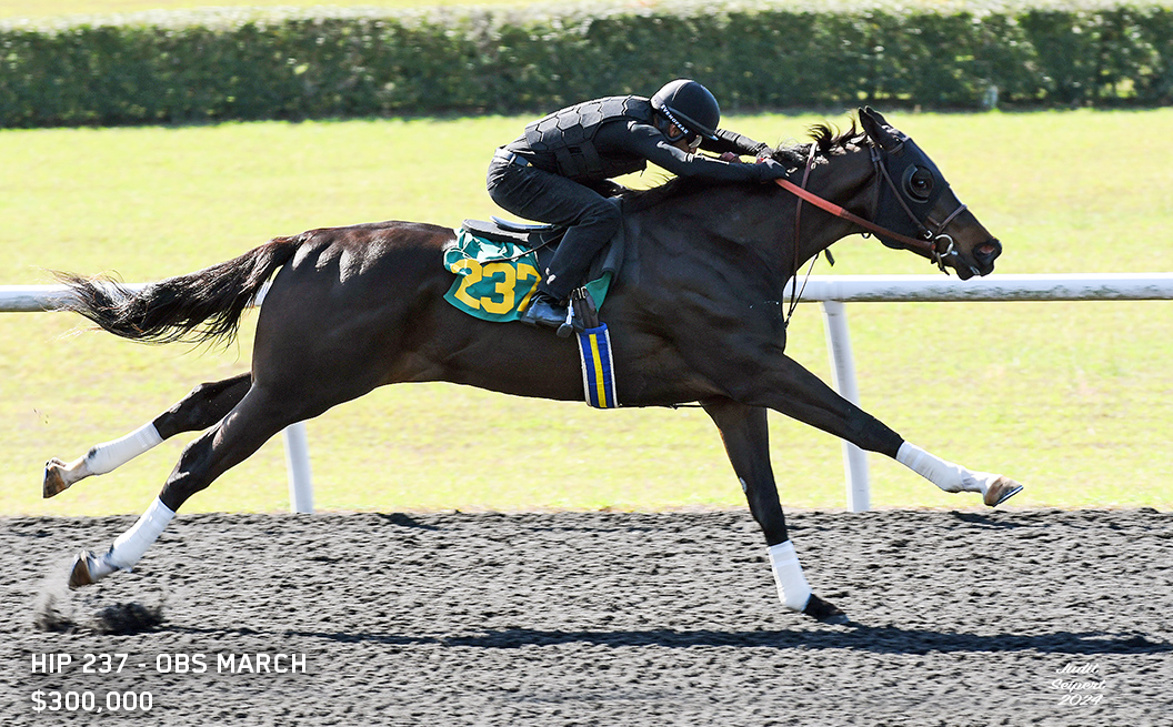 Hip 237 - $300,000
