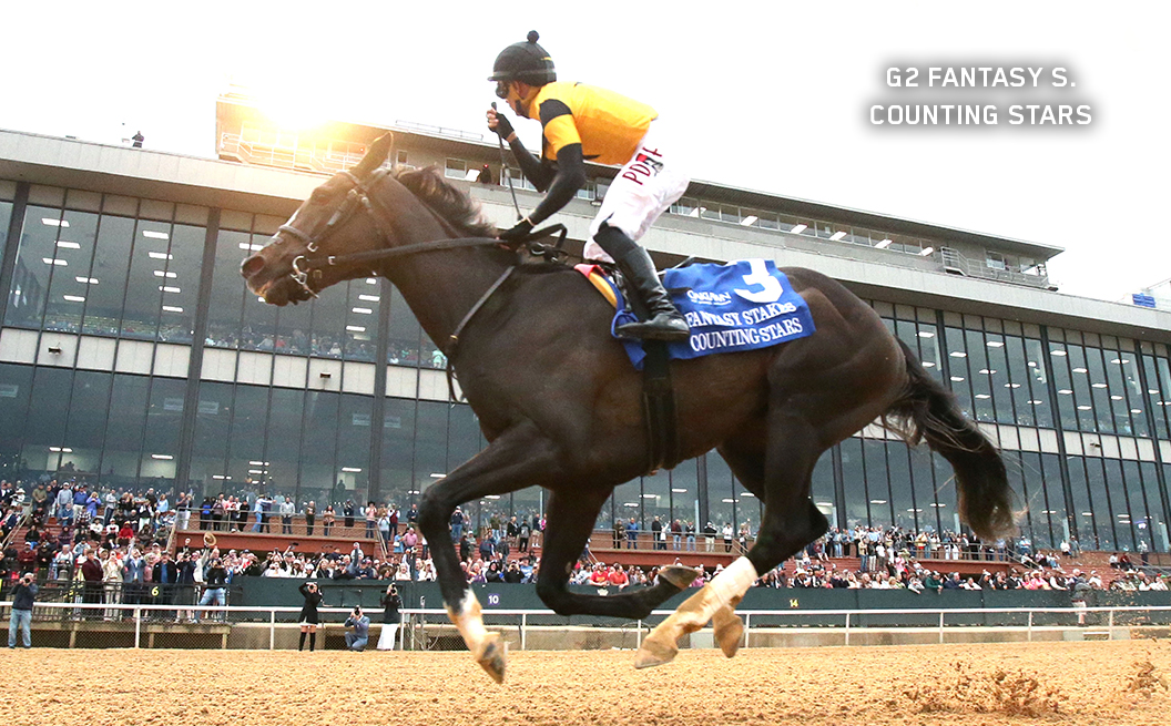 G2 Winner Counting Stars
