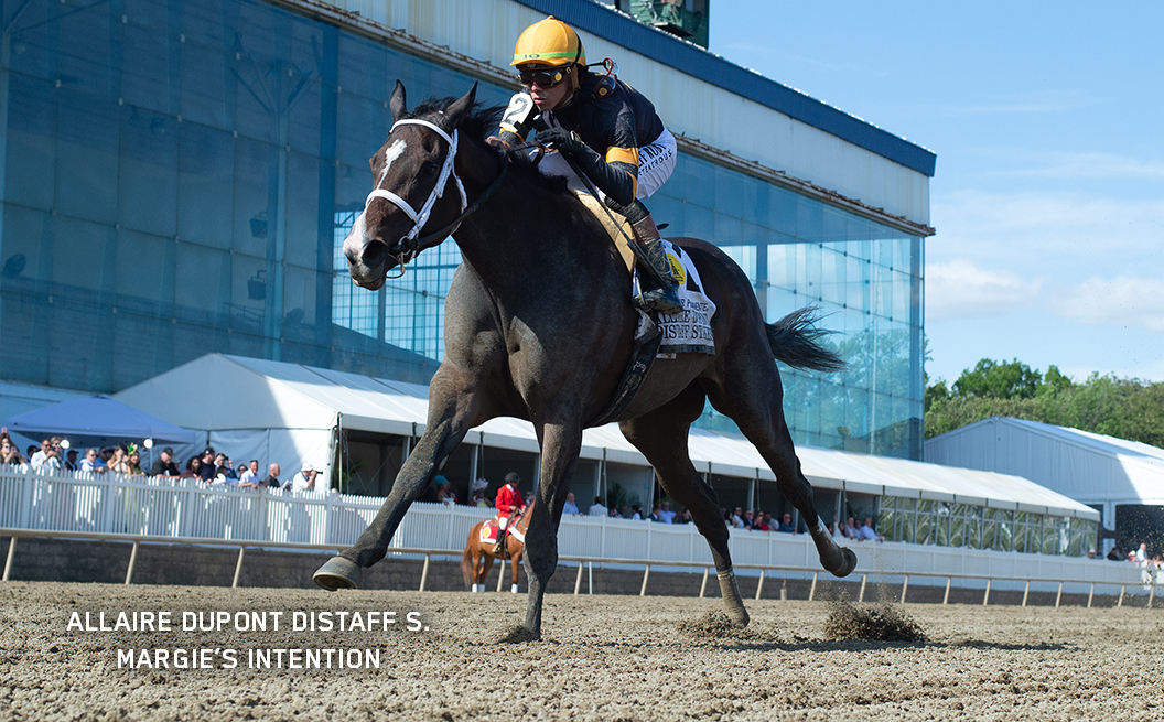 Allaire DuPont Winner Margie's Intention