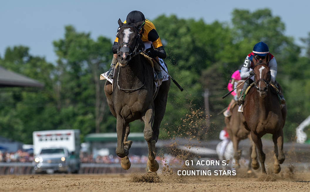 G1 Winner Counting Stars