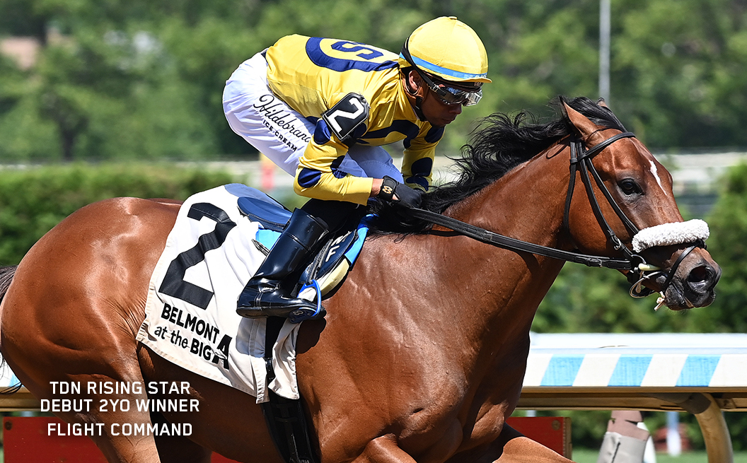 TDN Rising Star Flight Command