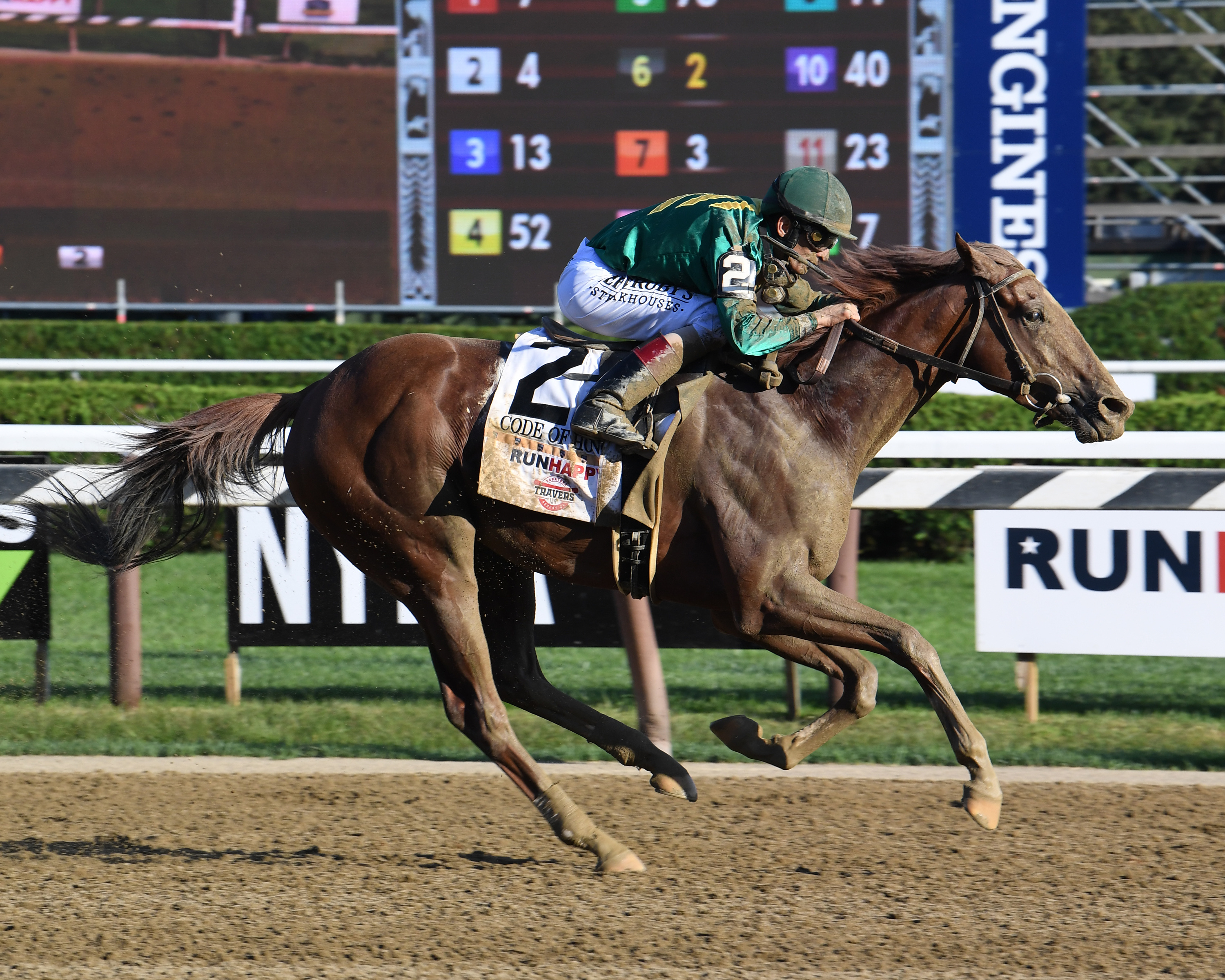 Code of Honor stallion
